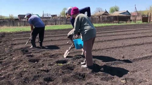 Чемишчидилге – шагар-оът хандызы