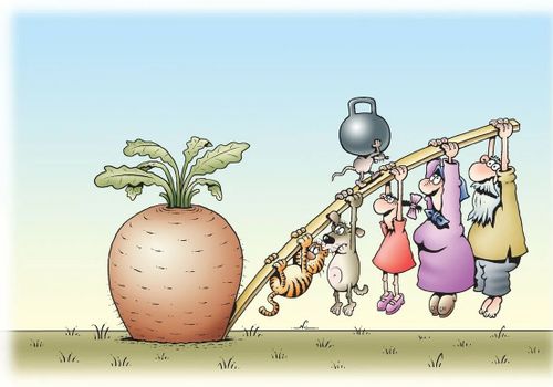 Каткы бажы каткан эвес