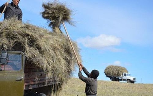 План күүсеттинген-даа болза...
