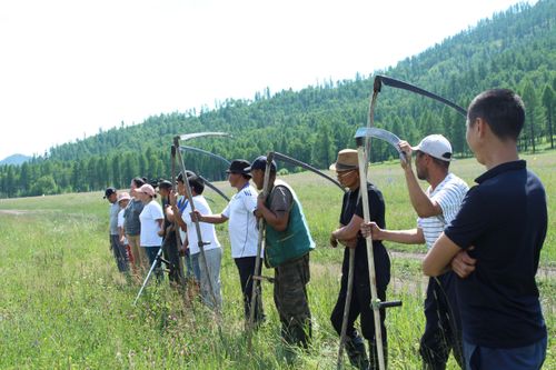 Планның баштайгы центнерлери