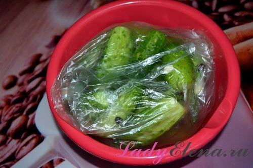 Шала дузаан огурец