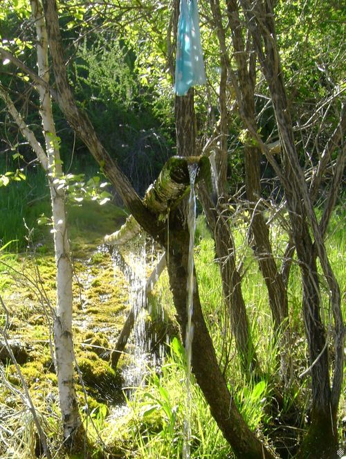 Сенек – сеткилимге эргим-дир сен.