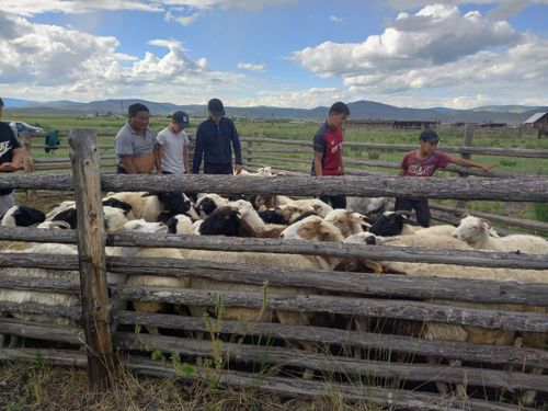 Чаа эрги арга