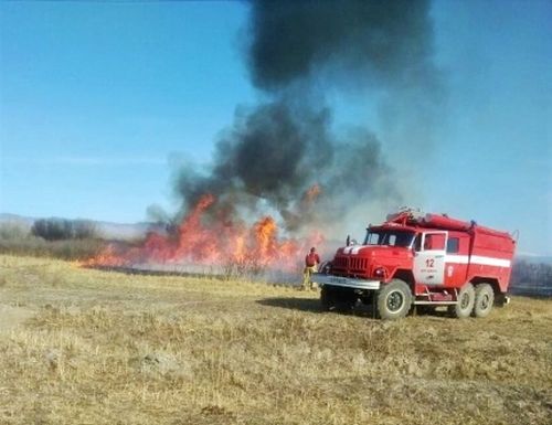 Кол чылдагаан – кижиниң буруузу