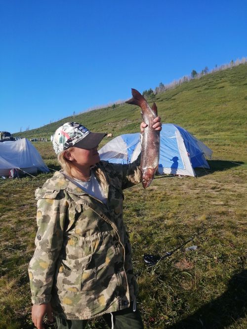 Тарыс аржаанынче аян-чорук