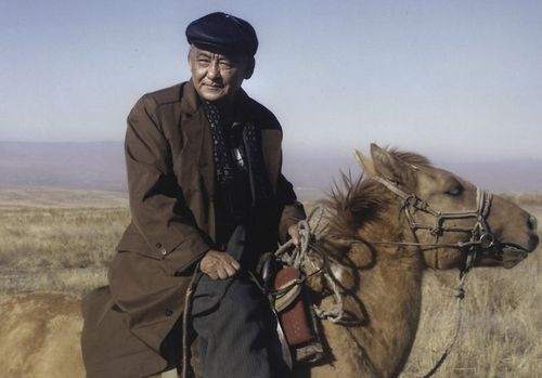 Шын-шын, «Шынның» хары, шынап-ла, 100