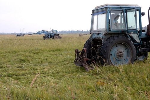 Тываныӊ фермерлери – мурнуку одуругда