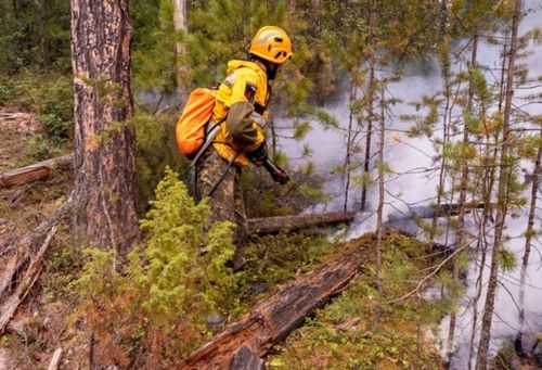 Арга-арыг кирери ам-даа хоруглуг