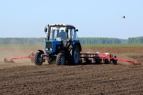 Часкы хову ажылдары эгелээн