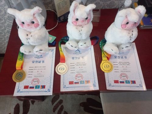 Тываның спортчузу Асель үш медальды чаалап алган