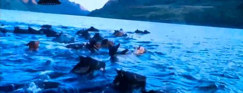 Хартыга дег кашпагай болзун дээш…