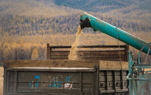 Тараа аймаа.