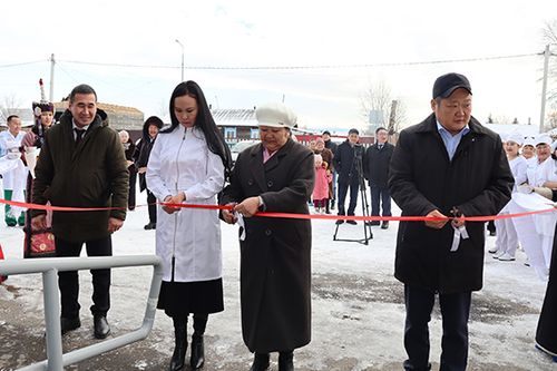 Реабилитация салбыры ажыттынган