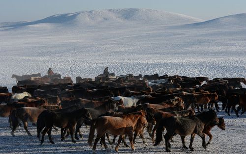Кыштаглаашкын ортумак байдалда