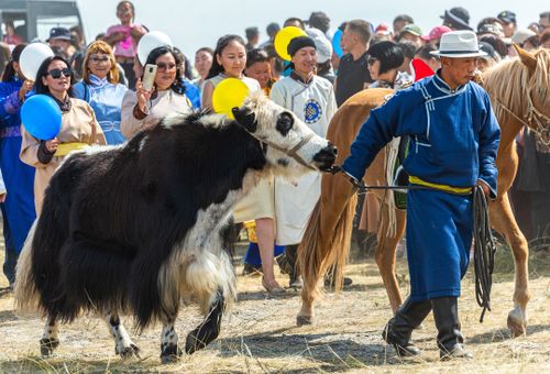 Тос-Булакче канчаар чедер