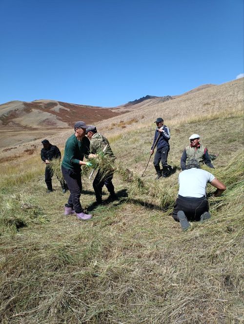 Чоннуң киржилгези идепкейлиг