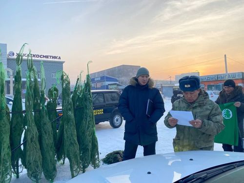 Тываның Арга-арыг яамызы ине бүрүлүг чаш ыяштарны камгалаар талазы-биле хемчеглерни күштелдирген