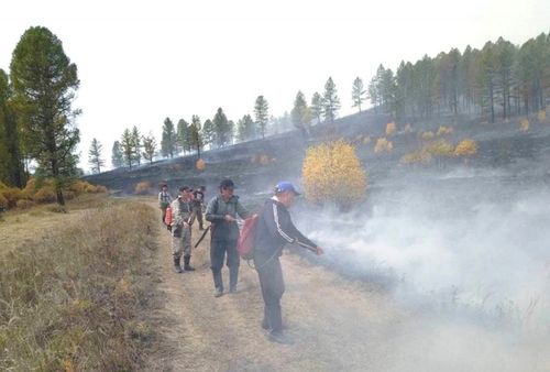 Арга-арыг кирери ам-даа хоруглуг