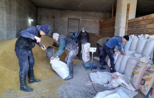 Студентилерниң киржилгези