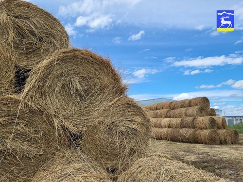 Планның 84,9 хуузу