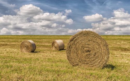 Иштики курлавырлар база бар