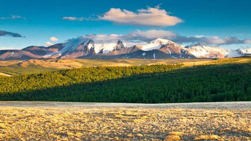 А-а, ӨРШЭЭ, МӨҢГҮН-ТАЙГА!