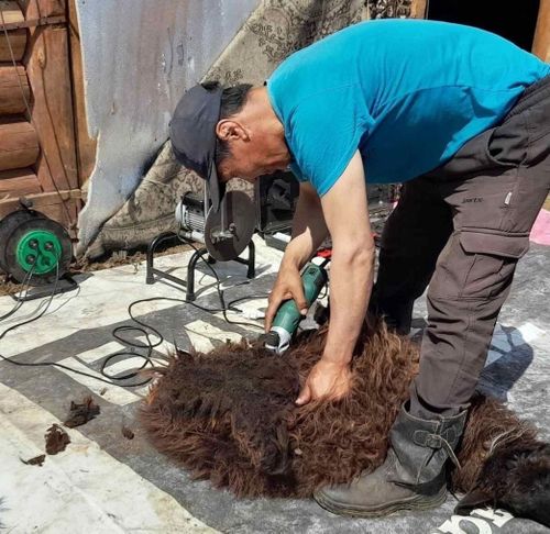 Холдары ажылды «сакты берген»