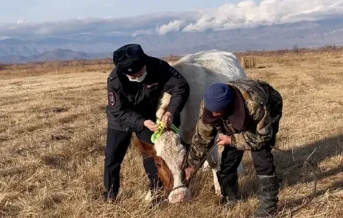 Озал-ондак эвээжээн