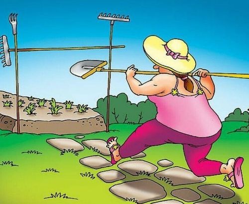 Каткы бажы каткан эвес