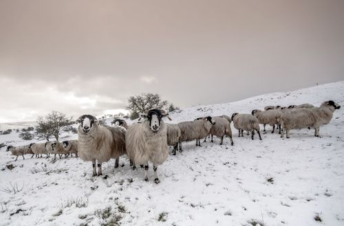 Кыштаглаашкынны хүр-менди эртип турар
