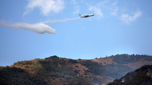 Тывада арга-арыг өрттериниң шөлү 2025 чылда ийи катап эвээжээн