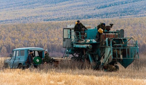 Кыры шимчээрге, хырны тодар.