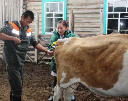 Халдавырның өөскүдүкчүзүн узуткаары-биле