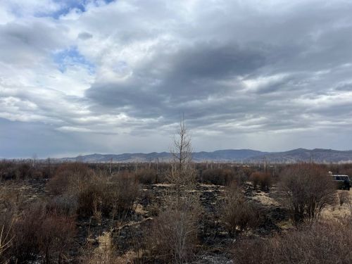 Тывада өртке удур онза чурумну чарлаан