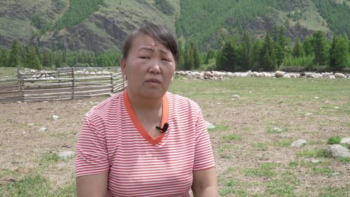 ТУРАЛЫГ-АКСЫНДА АНЫЯК МАЛЧЫННАР