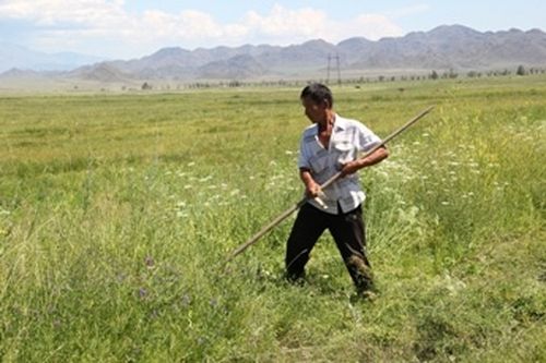 Суггаттыгда — дүжүттүг