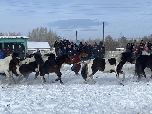 Сарыг-Булуңнуң демниг чону