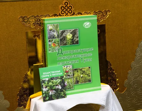 Күжүгет Шойгу аттыг культурлуг фондунуң ажылдары