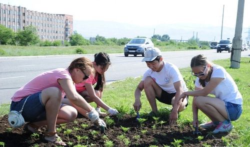 Сезоннуг ажылдарда хаара туттунган