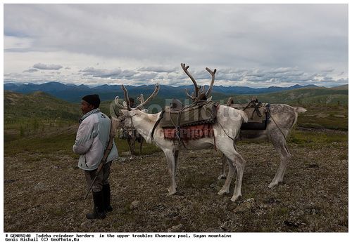 ТОЖУ ЧЕРНИҢ ӨЗЕК МАЛЫ