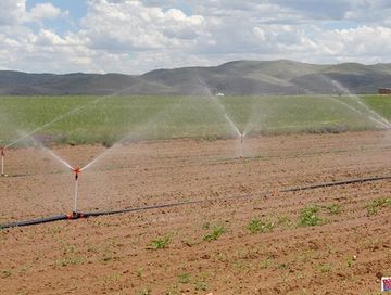 Суггат – дүжүтке идегел