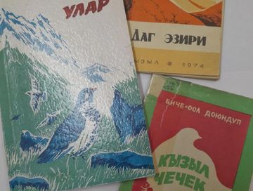 Тываның чогаалчылары