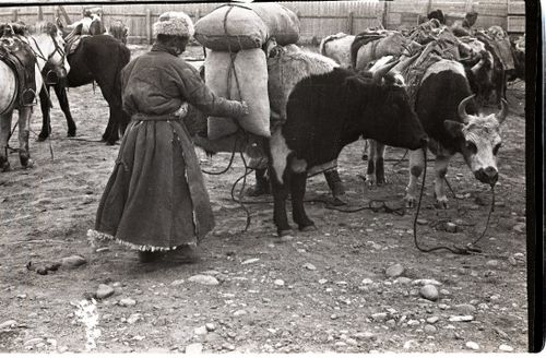 АҢГЫР-ООЛДУҢ ТООЖУЗУ(Романдан эге)