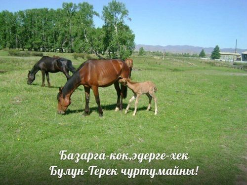 Булуң-Терээм