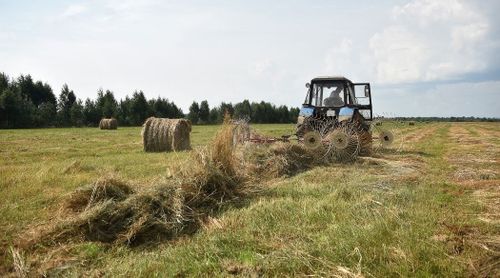 Быжыг курлавырны тургузарын негээн