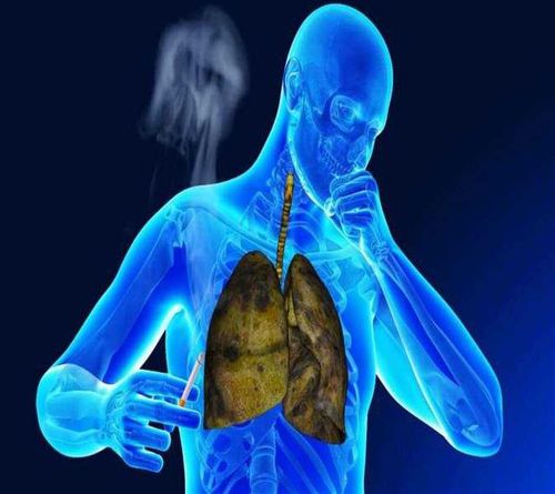 Таакпының тыныш органнарынга хоразы