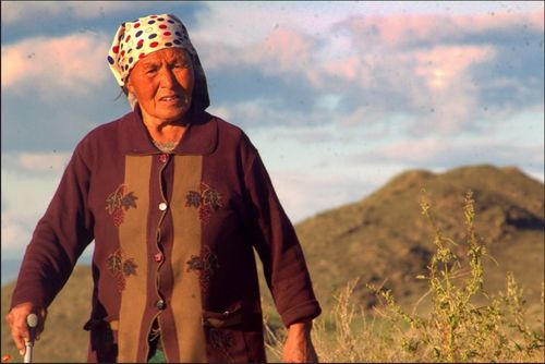 Шүлүкчү малчын