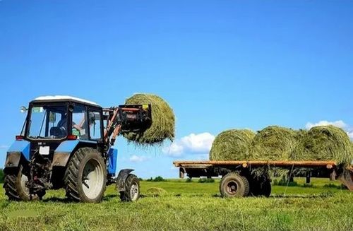 Дүжүт ажаалдазы