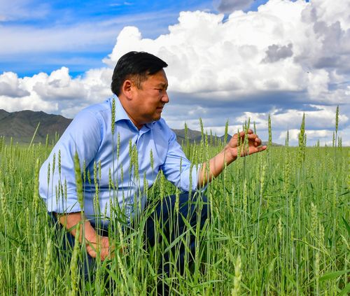 Ийи чыл дургузунда «дүн-хүн чокка»