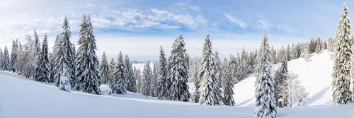 КЫЖЫН ЧЕРЛЕ ЫНДЫГ БОЛГАЙ